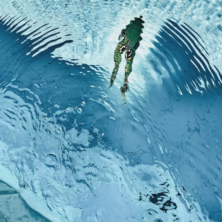 Frosch, den man unten im Wasser schwimmen sieht.